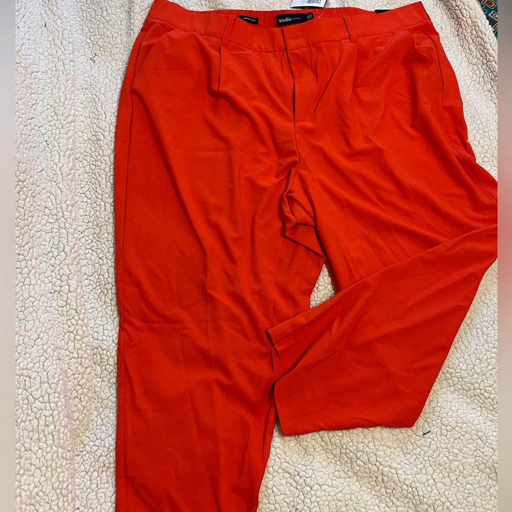 NWT Torrid Skinny pants 24W